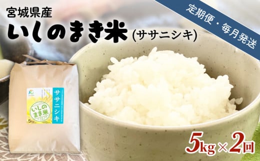 【定期便2回・毎月発送】宮城県いしのまき産米「ササニシキ」5kg×2回（精米） 848980 - 宮城県石巻市