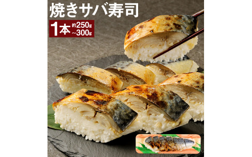 土佐の焼きサバ寿司１本（７切れ）総量約250g～300g・特選鯖寿司【A-61】