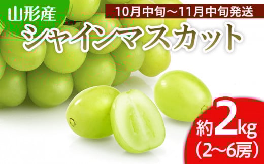 山形のぶどうセット 秀品 約2kg(ピオーネ約1kg2房前後・巨峰約 山形のぶどうセット 秀品 約2kg(ピオーネ約1kg2房前後・巨峰約