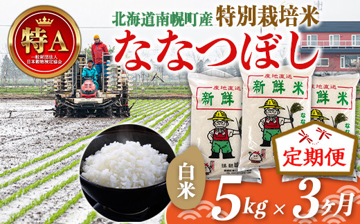 《定期便》特別栽培米 ななつぼし（白米）5kg×3ヵ月 令和5年産 新米 NP1-259 250083 - 北海道南幌町
