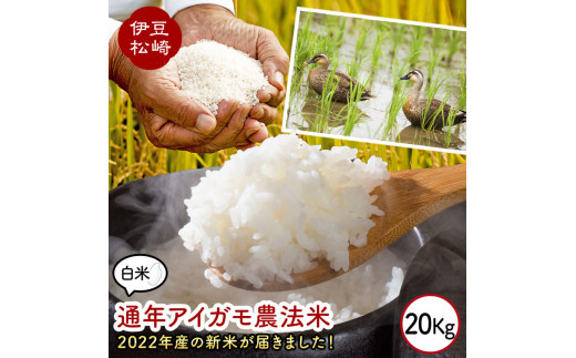 山芳園 天日干し 通年合鴨農法米 うるち米 白米 20kg