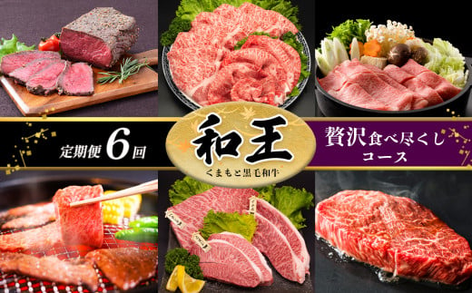 【 定期便 6回 】 和王 贅沢食べ尽くしコース A5 等級 牛肉  547512 - 熊本県玉名市