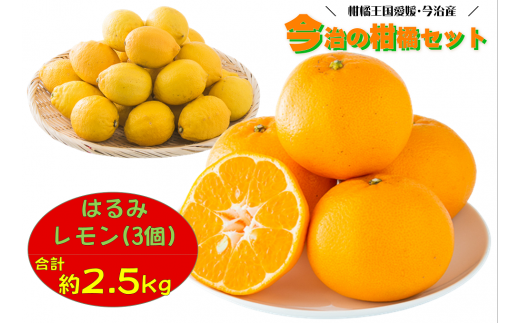 今治の柑橘セット　はるみ・レモン [KB01390] 556610 - 愛媛県今治市