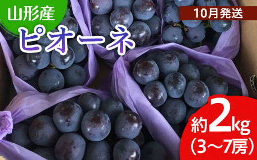 山形市産 ぶどう(ピオーネ) 秀 2kg(3〜7房)[後半] 【令和7年産先行予約】FU22-038 くだもの 果物 フルーツ 山形 山形県 山形市 ぶどう 葡萄 ブドウ 2025年産