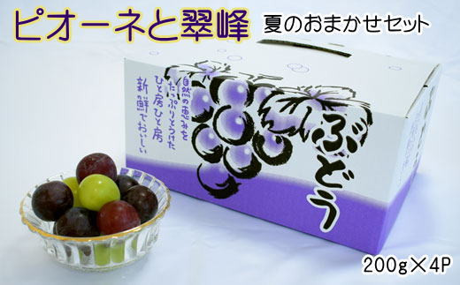 【数量限定】ピオーネと翠峰の夏のおまかせセット約200g×4パック※2024年9月上旬～2024年9月中旬頃順次発送 765889 - 和歌山県串本町