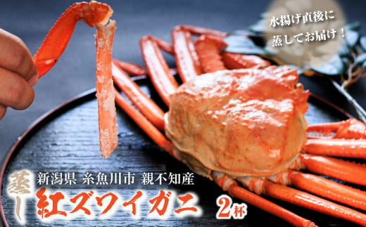 日本海直送　紅ズワイガニ（蒸しガニ）　Ｓサイズ（400ｇ前後）２尾　天下の険親不知からお届けします