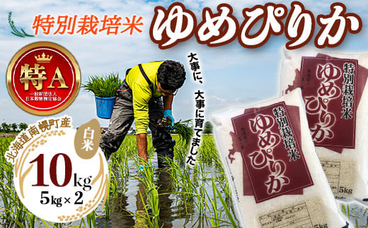 特別栽培米 ゆめぴりか（白米）5kg×2袋 令和5年産 2023年10月発送開始 今摺り米 NP1-408 239860 - 北海道南幌町