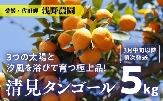 ふるさと納税 愛媛県 伊方町 【蜂蜜3セット】みかん農園のはちみつ