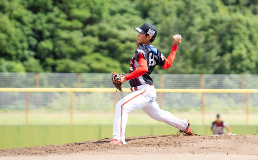 火の国サラマンダーズ 公式戦チケット30枚セット