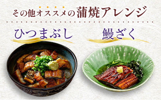 期間限定＞鰻楽 国産うなぎ蒲焼 4尾セット定期便 （2月,3月,4月お届け