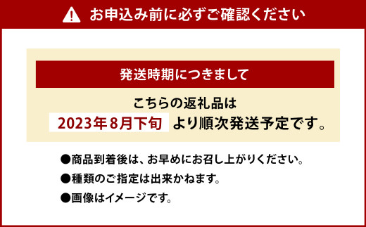 【2023年8月下旬より発送】熊本県産 シャインマスカット 1房×梨 3玉 合計3kg以上 詰め合せ セット 豊水 新高 新興