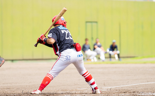 火の国サラマンダーズ 公式戦チケット30枚セット