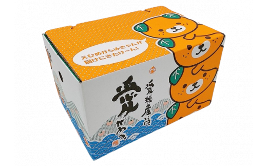 愛媛県の公式マスコットキャラの「みきゃん」パッケージの箱にお入れしてお届け