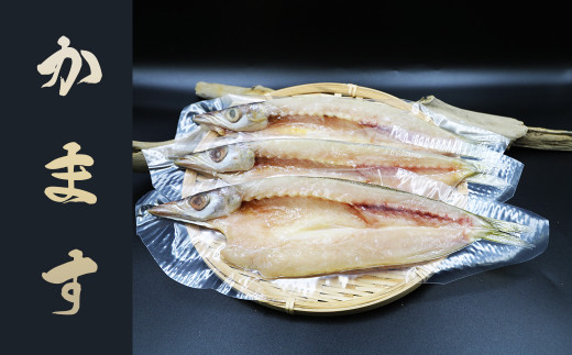 長崎県で水揚げされたカマスを使用。淡白で上品な味わいはまさに「ひものの王様」
