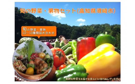 野菜 果物 お任せ 詰め合わせ 野菜セット 野菜生活 セット 高知県 須崎市産