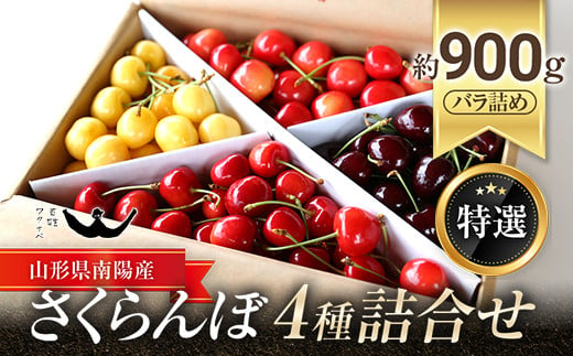 令和6年産先行予約】 さくらんぼ ｢佐藤錦｣ 約1kg (秀 2L以上) パック詰め 《令和6年6月発送》 『田口農園』 サクランボ 果物 フルーツ  産地直送 生産農家直送 山形県 南陽市 [1396] - 山形県南陽市｜ふるさとチョイス - ふるさと納税サイト