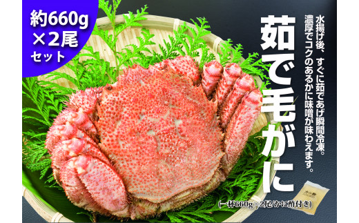 茹で毛がに 特大 約660g 2尾 かに専門店 かに政宗 かに カニ 蟹 鍋 海鮮 ゆでガニ かに料理 0143 宮城県富谷市 ふるさとチョイス ふるさと納税サイト