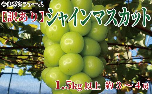 3本日の訳あり 長野県産シャインマスカット 約4キロ - 果物
