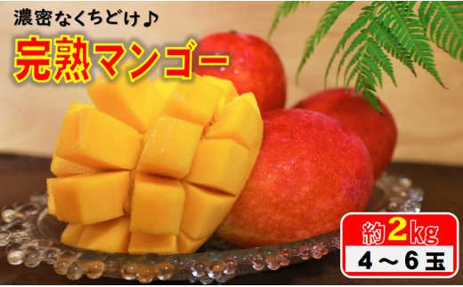 宮崎県産 完熟マンゴー 自家用 2~2.3kg