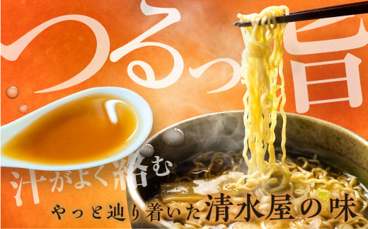 岐阜県飛騨市のふるさと納税 つけ麺 人気 豆天狗 有名店 行列店 つけ麺 2食入り×5袋 計10食 常温