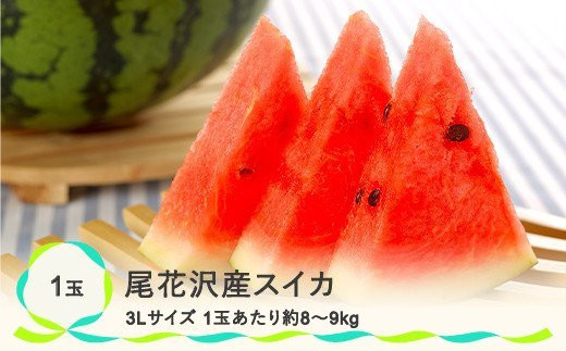 【7-8月お届け】農家直送　尾花沢産スイカ