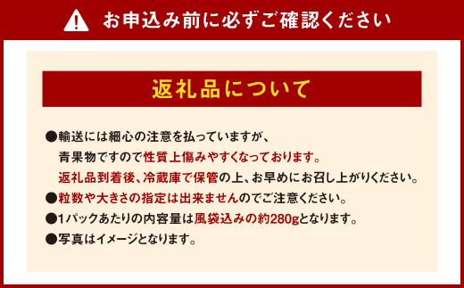 【チョイス限定】数量限定 エコファーマー あまおう 計560g（約280g×2パック）いちご 苺