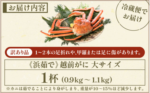 訳あり】越前がに本場の越前町からお届け！ 越前がに 浜茹で 大サイズ