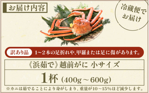 訳あり】越前がに本場の越前町からお届け！ 越前がに 浜茹で 小サイズ