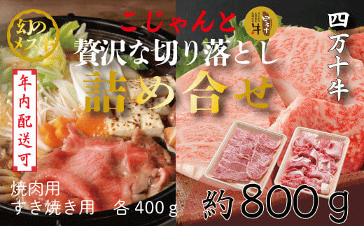 【年内配送】24-020N．幻のメス牛　四万十牛こじゃんと贅沢な詰め合せ(焼肉用・すき焼き用)計800ｇ 1095874 - 高知県四万十市