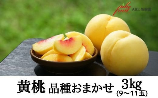 No.2303【先行予約】黄桃　品種お任せ約3kg【2024年発送】 541958 - 福島県福島市