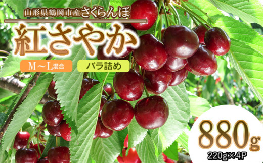 【令和5年分先行予約】鶴岡市産 紅さやか M~Lサイズ混合 バラ詰め 880g(220g×4p)