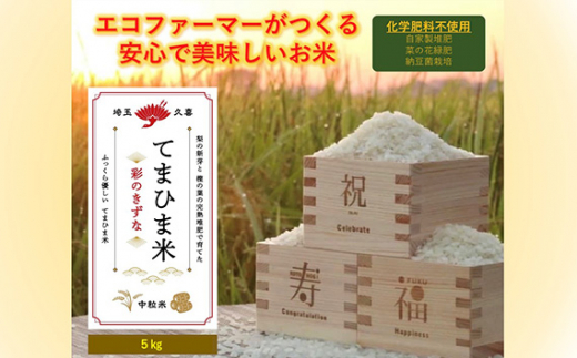 令和5年度産『てまひま米』（こしひかり・彩のきずな）精米5kg×2