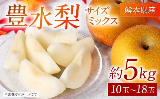 【先行予約】熊本県産 豊水梨 約5kg サイズミックス 10玉～18玉