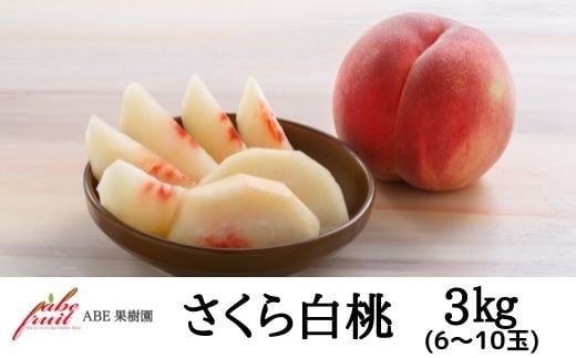 No.2305【先行予約】株式会社ABEFruit　桃　さくら白桃3kg【2024年発送】 541960 - 福島県福島市