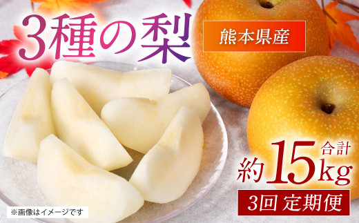 3種の梨の定期便 豊水梨 秋月梨 新高梨 約5kg×3回 計約15kg
