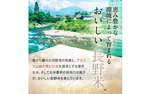 信州米 こしひかり ( 玄米 ) 10kg 長野県産 | 新米 令和5年産 米 こめ