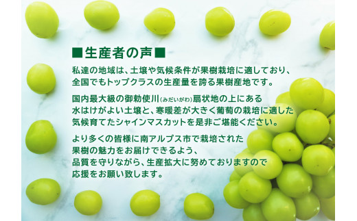 1-1-199 【令和5年8月下旬から10月上旬発送予定】山梨県南アルプス市産