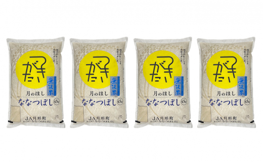 北海道 定期便 6ヵ月連続6回 令和5年産 ななつぼし 無洗米 4.5kg×4袋