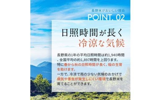 信州米 こしひかり ( 玄米 ) 10kg 長野県産 | 新米 令和5年産 米 こめ