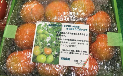  八代市産 宮島農園 フルーツ ゴールド ギャバリッチトマト 1kg トマト 高糖度