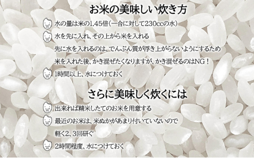 北海道 定期便 12ヵ月連続12回 令和5年産 ゆめぴりか 5kg×1袋 特A 精米