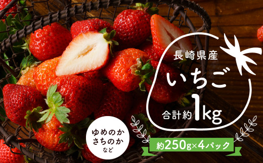 いちご 1箱 (約250g×4P) 1kg ゆめのか さちのか 苺 長崎県産 【40pt