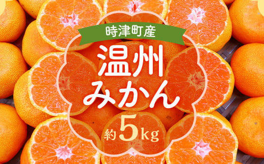 時津町特産 温州みかん 約5kg 糖度が高くなる時期のみお届け！【時期厳選】【2024年12月上旬～2025年1月下旬迄発送予定】 1452474 - 長崎県時津町