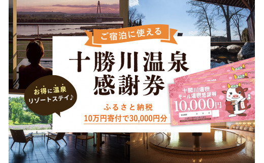 十勝川温泉モール温泉感謝券30,000円分【T-100000】
