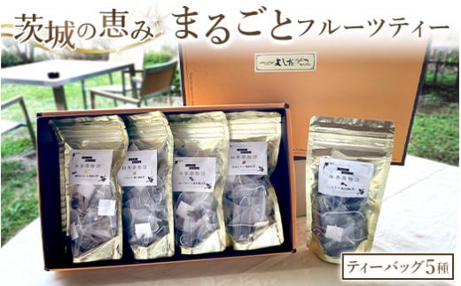 茨城の恵みまるごと フルーツ ティー (ティーバッグ5種) 919013 - 茨城県守谷市