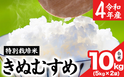 25 令和4年産 きぬむすめ10kg 5kg 2袋 岡山県産 白米 精米 単一原料米 特別栽培米 矢掛町 30日以内に順次出荷 土日祝除く Ja晴れの国 矢掛アグリセンター 送料無料 岡山県矢掛町 ふるさとチョイス ふるさと納税サイト