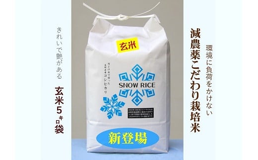 減農薬コシヒカリ「SNOW RICE」玄米5kg（令和5年産） 544484 - 長野県栄村