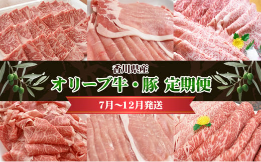 [№4631-2449]香川県産　オリーブ牛、豚　500ｇ　定期便（7月～12月）