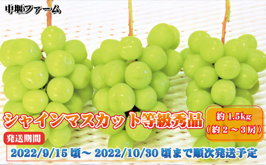 [No.5657-2995]シャインマスカット秀品　約1.5kg（約3～4房）《中堰ファーム》■2023年発送■※9月中旬頃～10月下旬頃まで順次発送予定