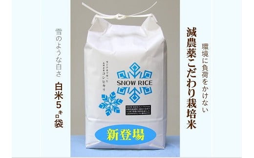 減農薬コシヒカリ「SNOW RICE」白米5kg（令和5年産） 544483 - 長野県栄村